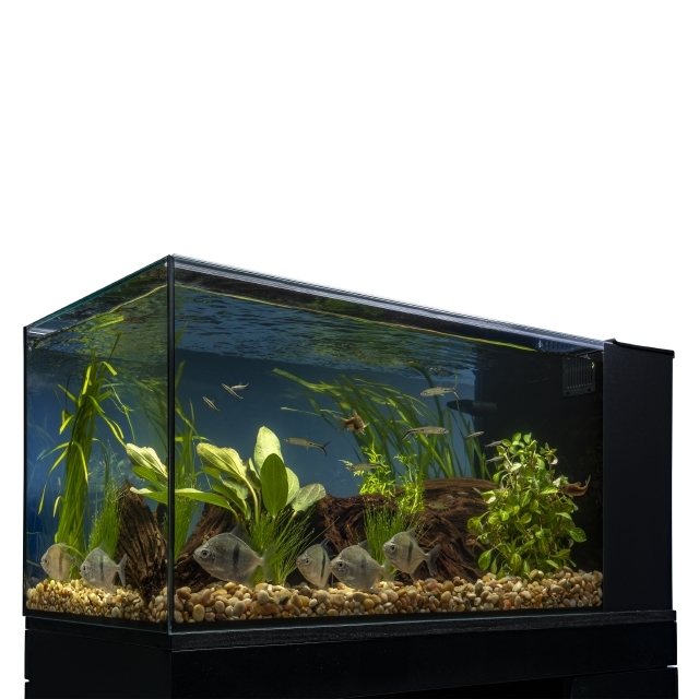 Marineland Exhibit Series Wi Fi LED Kit 25 Gallon Marineland
